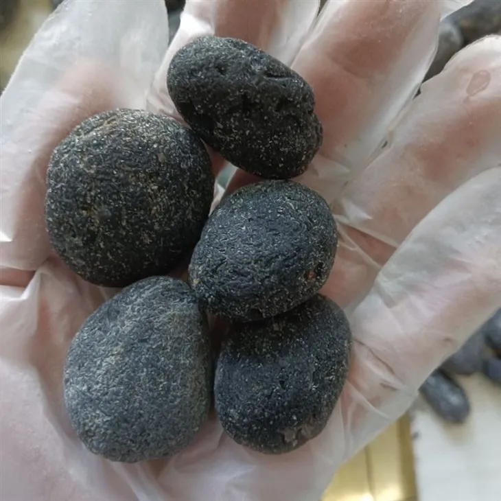 _20231030105418_(001)